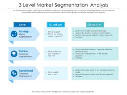 3 level market segmentation analysis