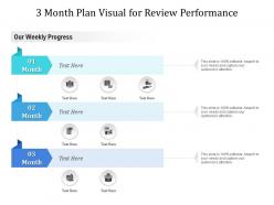 3 month plan visual for review performance infographic template