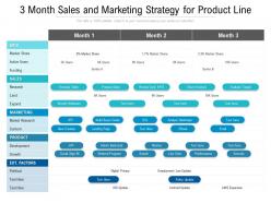 3 month sales and marketing strategy for product line