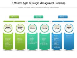 3 months agile strategic management roadmap