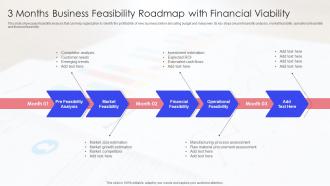 3 Months Business Feasibility Roadmap With Financial Viability