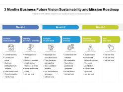 3 months business future vision sustainability and mission roadmap