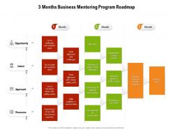 3 months business mentoring program roadmap