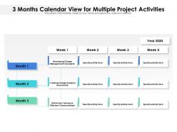 3 months calendar view for multiple project activities