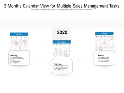 3 months calendar view for multiple sales management tasks
