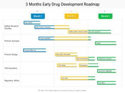 3 months early drug development roadmap