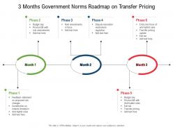 3 months government norms roadmap on transfer pricing
