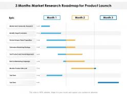 3 months market research roadmap for product launch