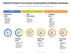 3 months project future vision sustainability and mission roadmap