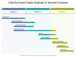 3 months project tracker roadmap for business processes