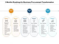 3 months roadmap for business procurement transformation