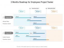 3 months roadmap for employees project tracker