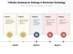 3 months roadmap for ontology in blockchain technology