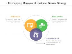 3 Overlapping Domains Of Customer Service Strategy 2 Example Of Ppt