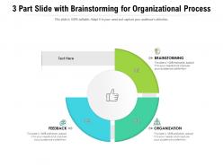 3 part slide with brainstorming for organizational process
