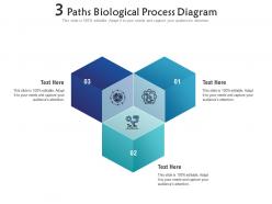 3 paths biological process diagram infographic template