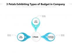 3 petals exhibiting types of budget in company