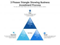 3 phases triangle showing business investment process