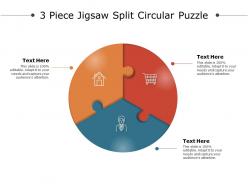 3 piece jigsaw split circular puzzle