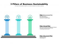 3 pillars if business sustainability