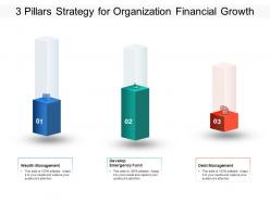 3 pillars strategy for organization financial growth