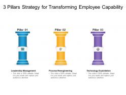 3 pillars strategy for transforming employee capability