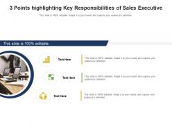 3 points highlighting key responsibilities of sales executive infographic template