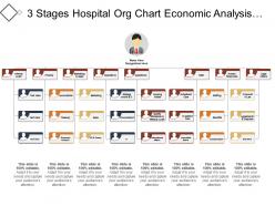 3 stages hospital org chart economic analysis budgeting and controlling