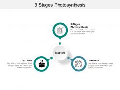 3 stages photosynthesis ppt powerpoint presentation slides graphics design cpb