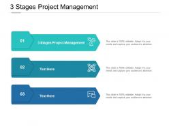 3 stages project management ppt powerpoint presentation styles cpb
