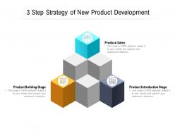 3 step strategy of new product development
