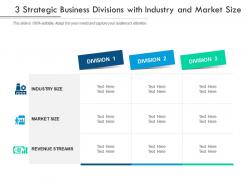 3 strategic business divisions with industry and market size