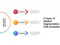 3 types of market segmentation with examples