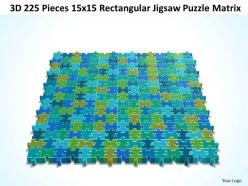 3d 225 pieces 15x15 rectangular jigsaw puzzle matrix