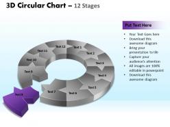3d circular chart 12 stages