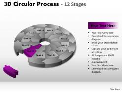 2321507 style puzzles circular 12 piece powerpoint presentation diagram infographic slide