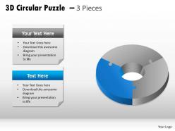 3d circular puzzle 3 pieces