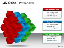 3D Cube Perspective PPT 57