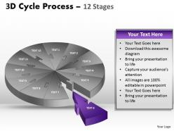 3d cycle process flow chart 12 stages style 1