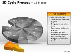 3d cycle process flow chart 12 stages style 1
