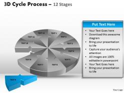 3d cycle process flow chart 12 stages style 2