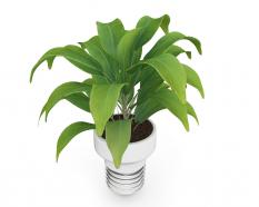 3d graphic of green plant stock photo