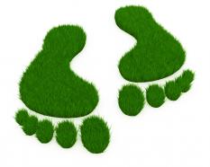 3d green foot marks stock photo