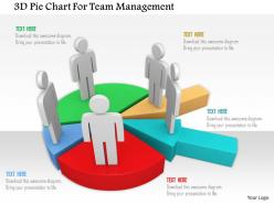 3d Pie Chart For Team Management Ppt Graphics Icons