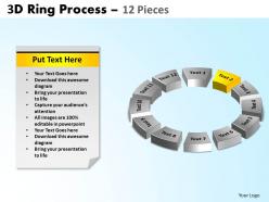 3d ring process 12 pieces 2