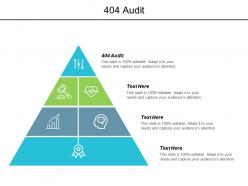 404 audit ppt powerpoint presentation gallery design ideas cpb