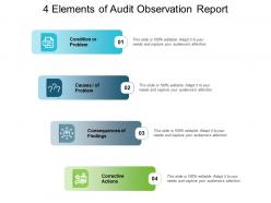 4 elements of audit observation report