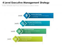 4 level executive management strategy