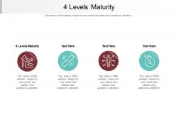4 levels maturity ppt powerpoint presentation pictures brochure cpb