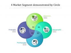 4 market segment demonstrated by circle